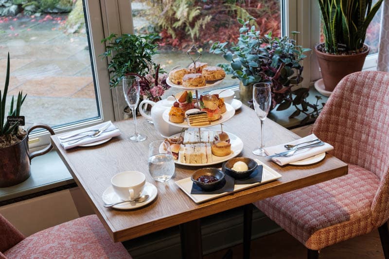 Traditional afternoon tea with sandwiches, cakes and scones served in The Conservatory