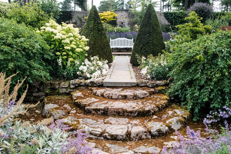 Garden Steps at Douneside House Stone steps surrounded by formal planting in the gardens at Douneside House