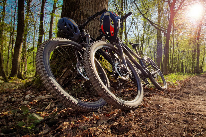 Two mountain bikes leaned on a tree next to a trail