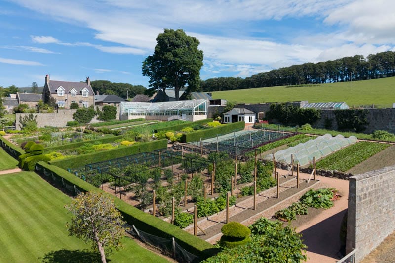 Aerial view of the walled garden and glasshouse at Douneside House