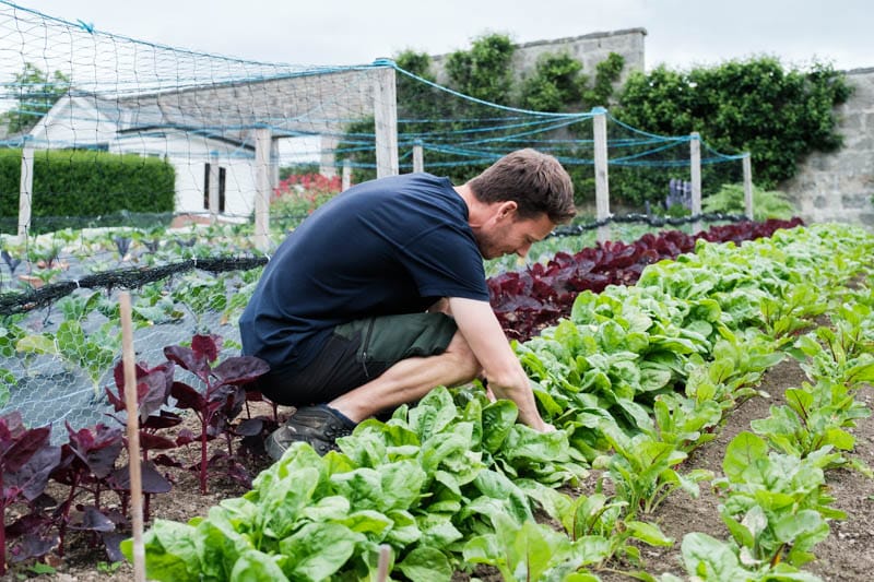 Douneside Picking Veg in the garden
