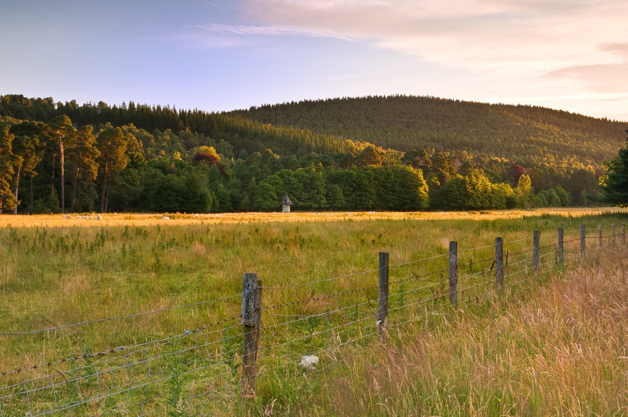 Morning Sunrise over the Glen Tanar Estate