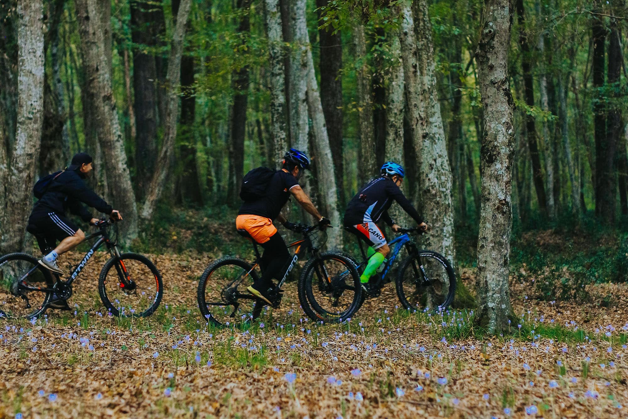 Mountain bikers in woodland Ride mountain bikes Deesdie Activity park