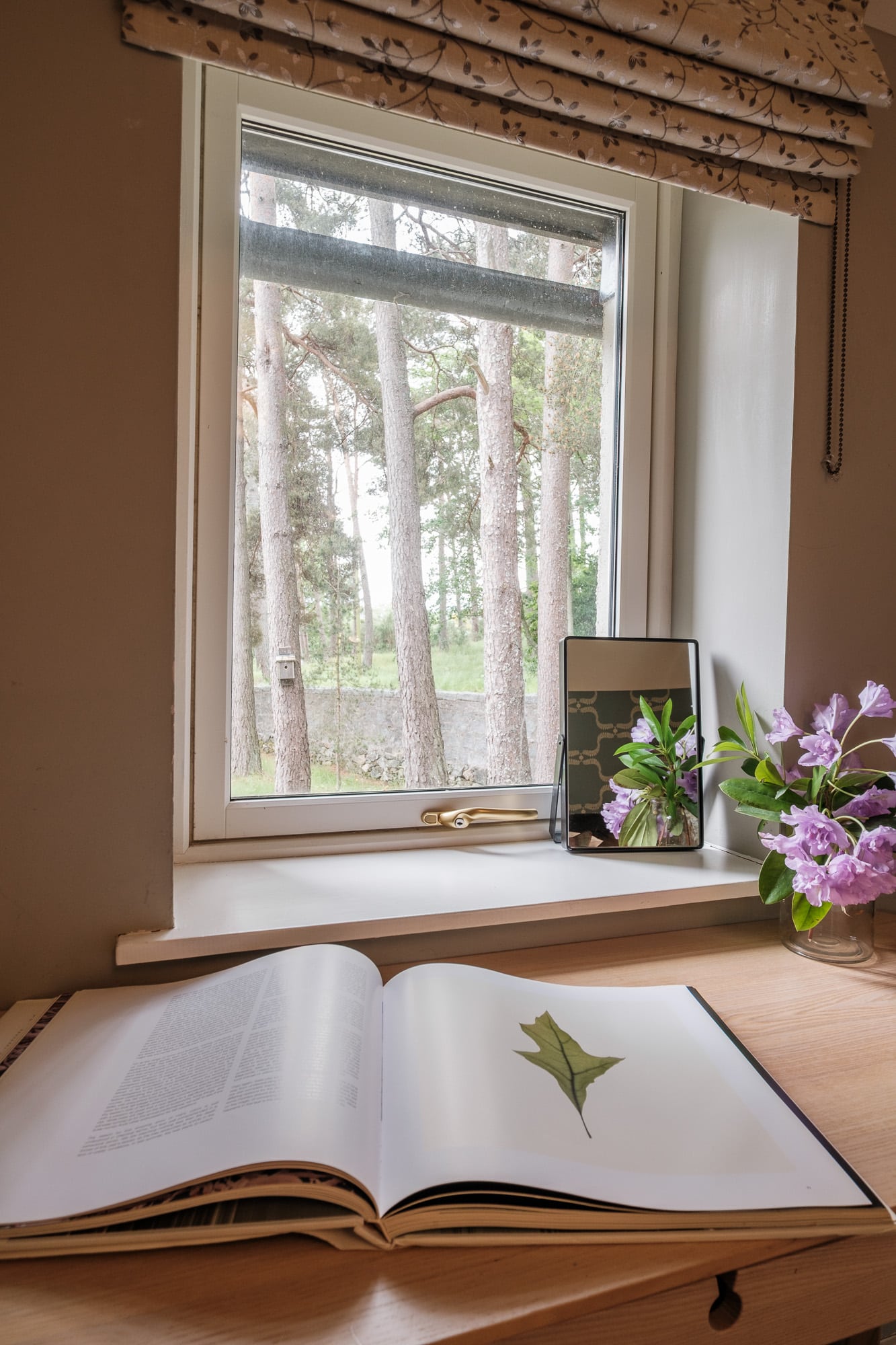 Casa 24 reading nook with pine forest view, wildflowers and open book at Douneside House
