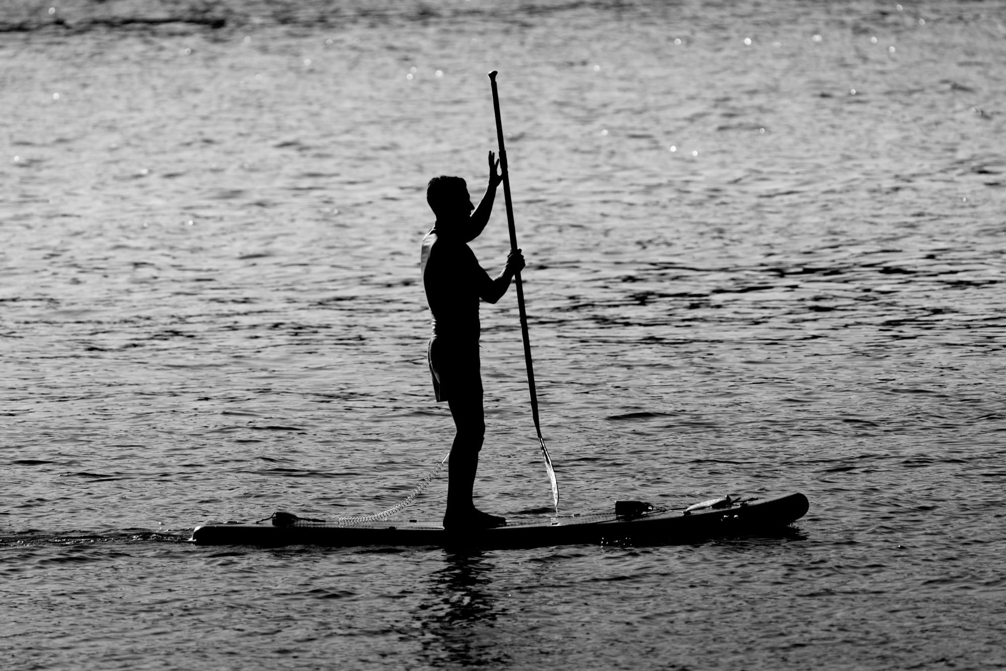 River Dee Paddle Boarding (Custom) Paddle boarding on the river Dee silhoutte