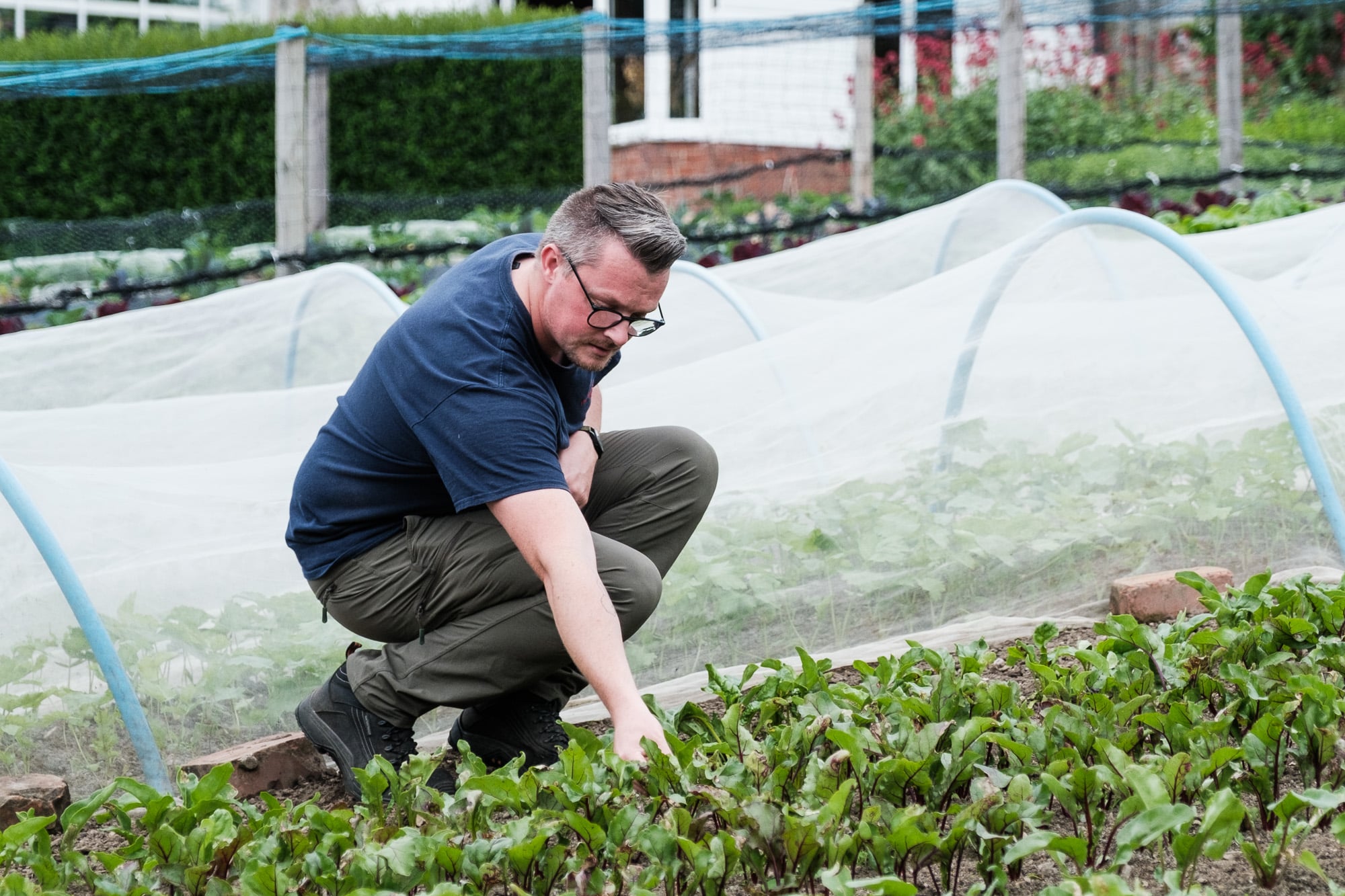 Tending to vegetables at DOuneside House Tending to the vegetables at Douneside house walled garden