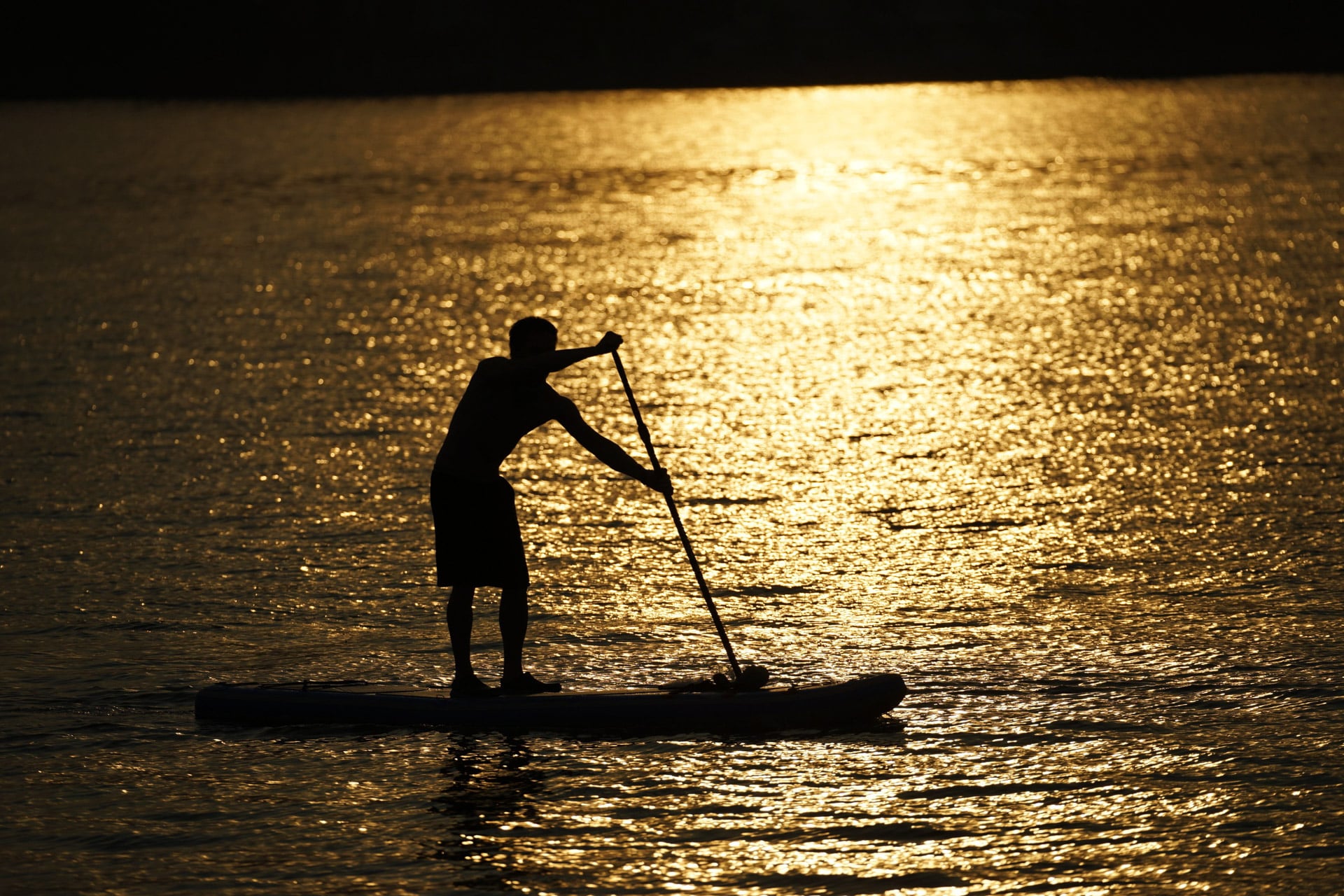 Paddleboarder Paddleboarder at sunset